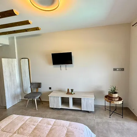 Appartement Viento Boutique à Skafidia Extérieur photo